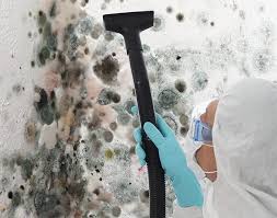 Best Mold Removal for HVAC Installations  in Vla Grove, IL